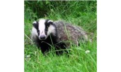 Consulting those affected – deadline 19th March